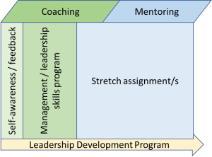 Stretch Assignment Job Overcoming the challenge of stretch assignments in global leadership ...